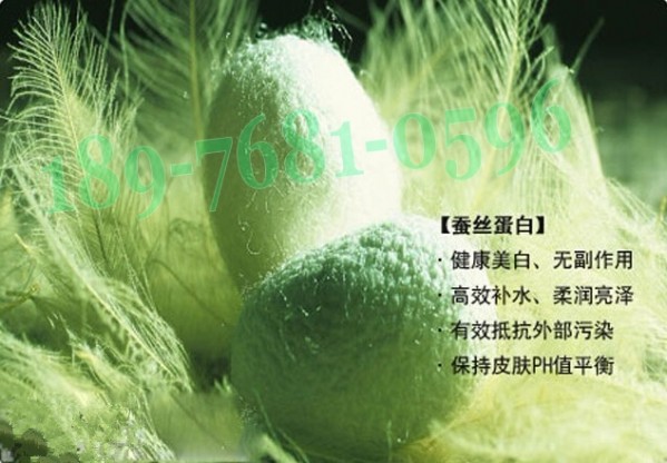 �Q�z��Ĥ���ӹ�