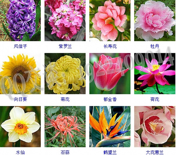 ��ͯ�o(h��)�wƷoem