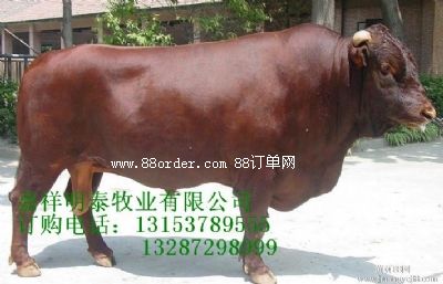 ��ľٝţ�r��