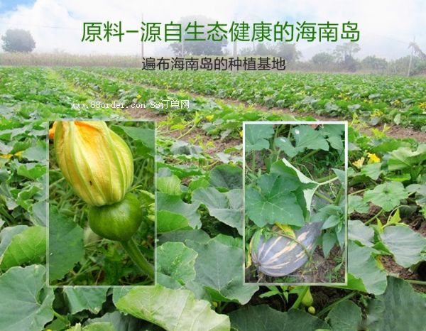 �S��ֱ�N(xi��o)����ɿ��ϹϷ� ���Ƀ�(y��u)�|(zh��)�ϹϷ�