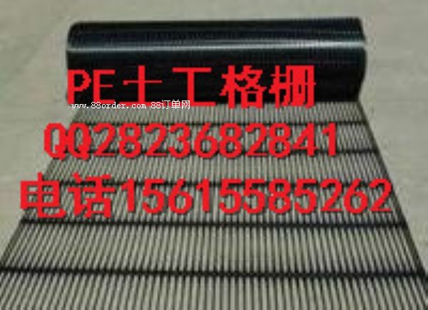 ����ϩ���������������PE