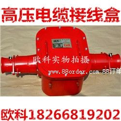 �����߉���|�Ӿ���