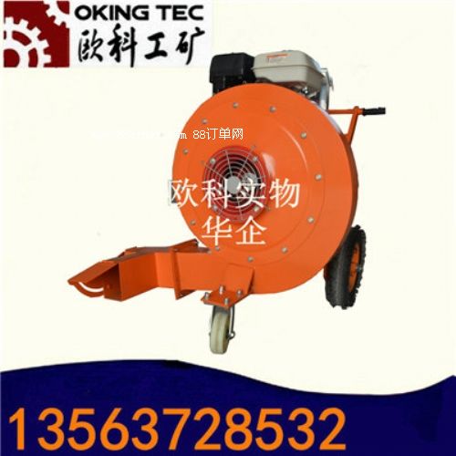 道路石子清理機(jī) 手推式路面吹風(fēng)機(jī)