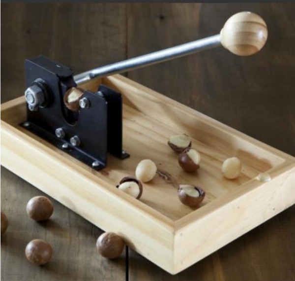 ���҈�(ji��n)�������Ĺ��_����