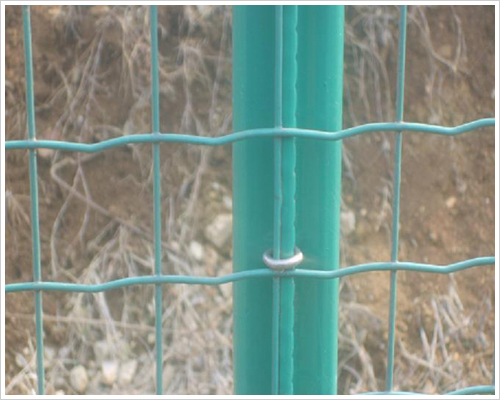 ���m�o�ھW(w��ng)