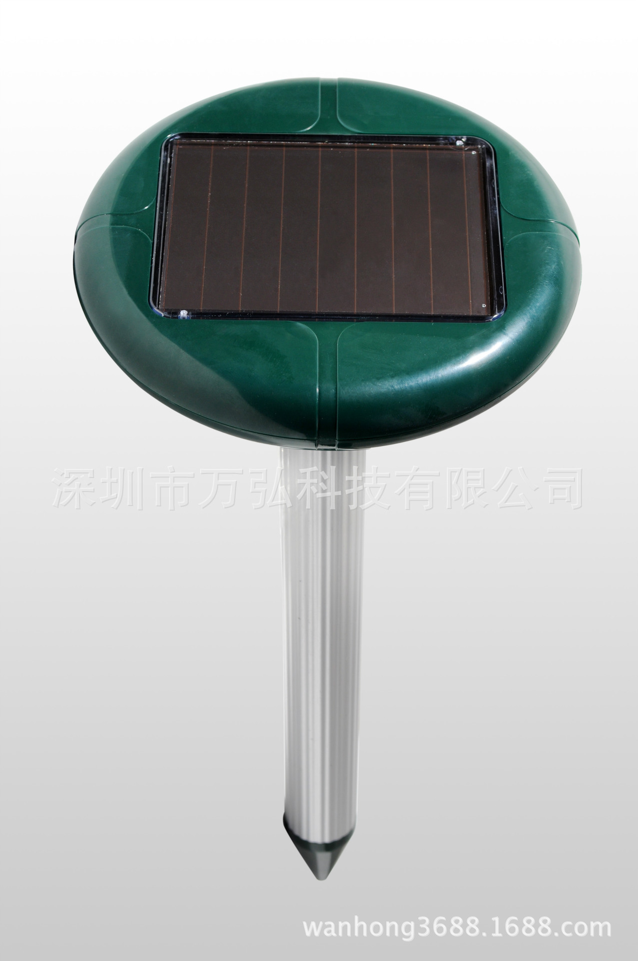 dsc_0811����