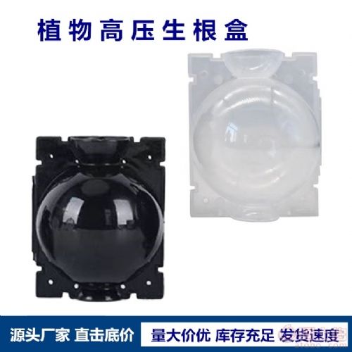 ֲ��߉���ֳ�д��M(j��n)ֲ���ϵ���L(zh��ng)