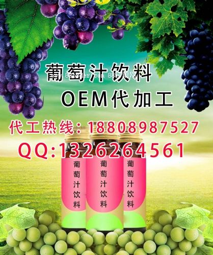 國內(nèi)專業(yè)代工廠提供葡萄汁代加工 液體酵素貼牌/廠商