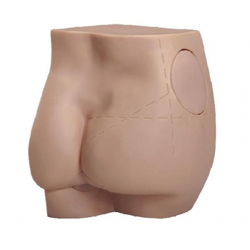 臀部注射實習模型