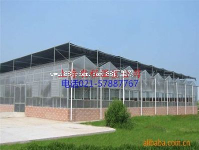 �����B������