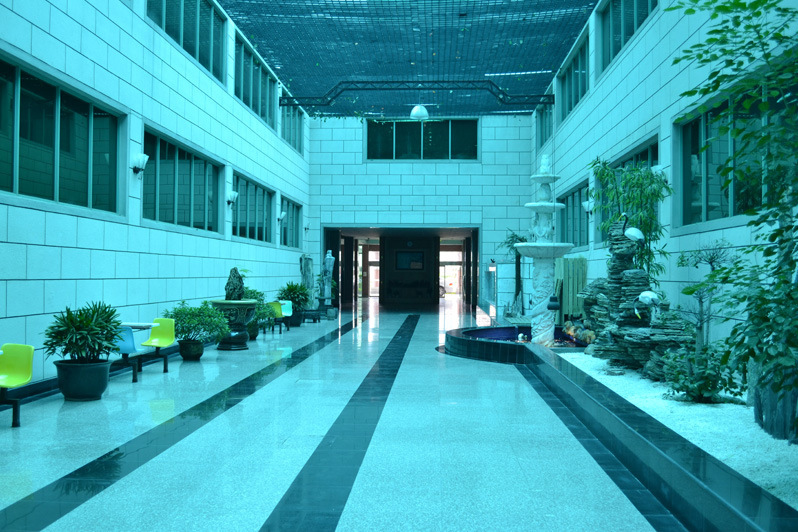 蛹蟲草飲oem代工