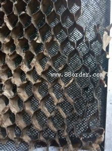 ��ُ��C��о