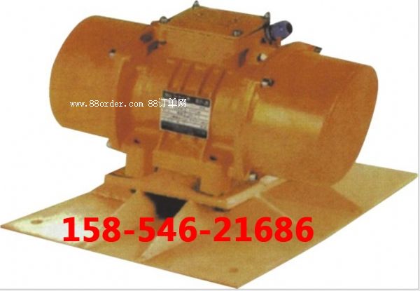 振動(dòng)電動(dòng)機(jī)