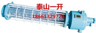 礦用巷道燈(長形)