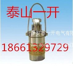 ZP-12R�V���ԄӞ�ˮ���m�b���ß�ጹ�؂�����