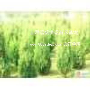 ɽ���\(y��n)�Ǻ��\(y��n)��ľ����