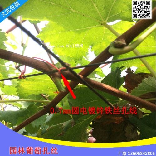 僅此一天葡萄專用扎帶 園林扎絲捆絲獼猴桃枝條帶綁扎線鐵芯扎帶