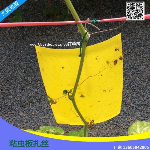 精品包塑扎線捆綁衣架鐵絲 鐵扎帶粘蟲板扎絲鐵芯捆線園林園藝品