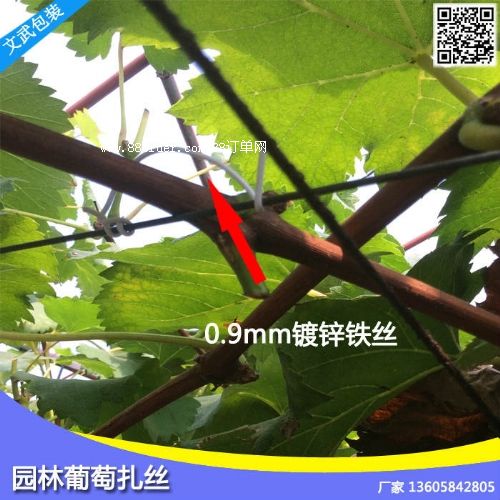 正品保證葡萄枝蔓扎絲葡萄架捆帶 第四代園林扎絲山葫蘆蔓鐵扎絲