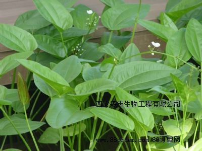 �W(w��ng)�j(lu��)���N�ɞa��ȡ��