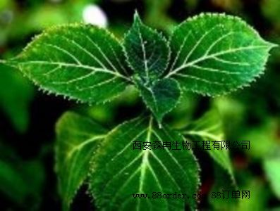 �W(w��ng)�j(lu��)���N�����e��ȡ��