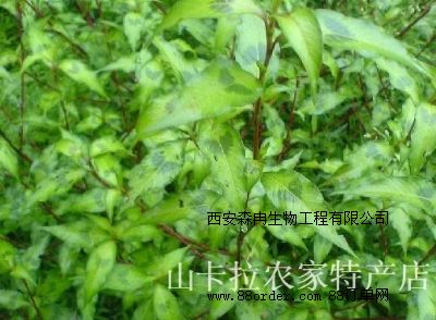 �W(w��ng)�j(lu��)���N������ȡ��