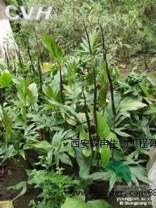 �W(w��ng)�j(lu��)���N(xi��o)������ȡ��