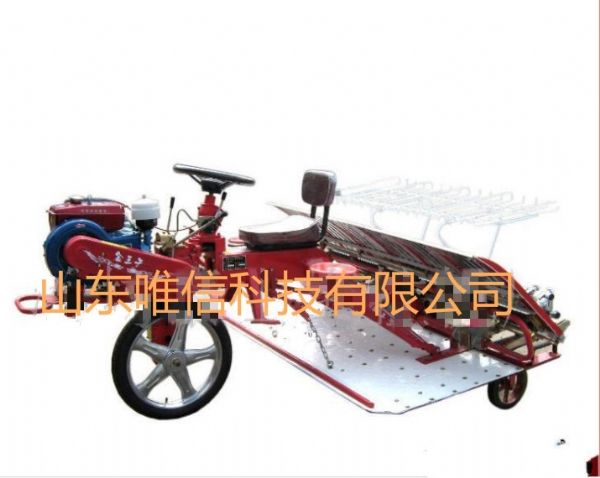 水稻插秧機(jī)廠家直銷