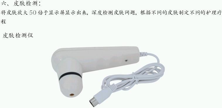 6Ƥ�w�z�y�x�DƬ����