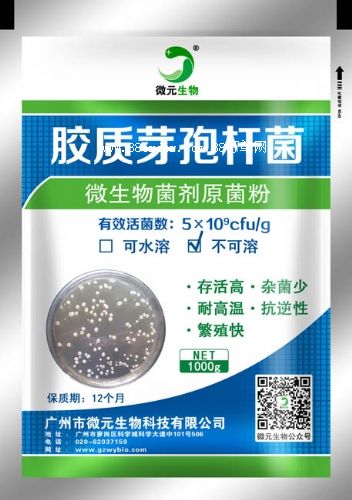 �z�|ѿ�ߗU�����l(f��)�r��V�|΢Ԫ�����z�|ѿ�ߗU���ò���