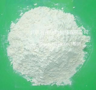 廠家直銷漆酶(Laccase)