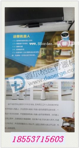 供應(yīng)山東智能高科技餐飲迎賓機(jī)器人