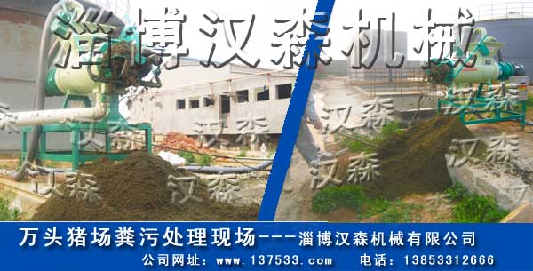 �i�S��̎��C