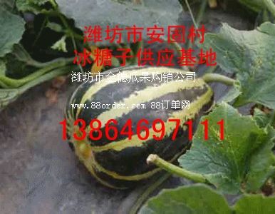 ����(y��ng)���������